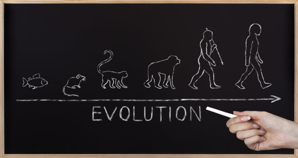 evolution