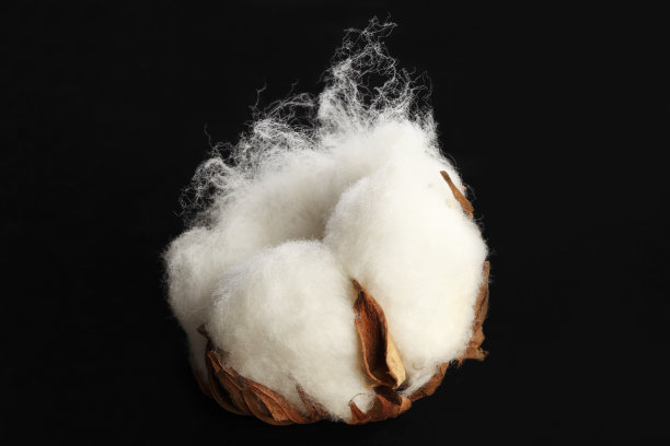 cotton