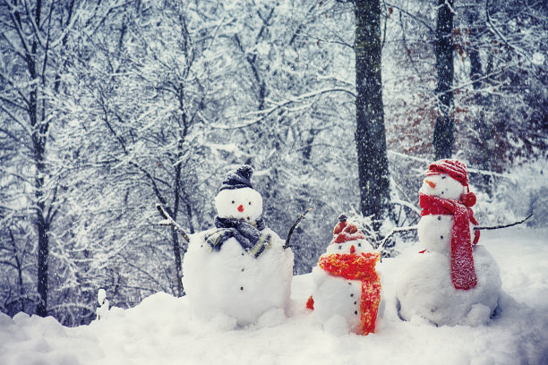 snowfall