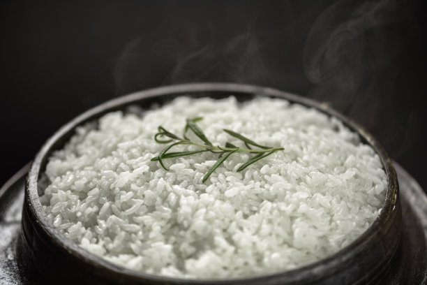 米饭蒸肉