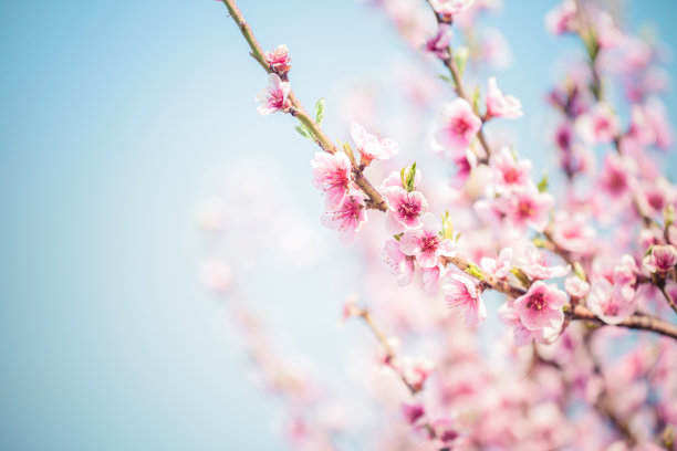 springtime
