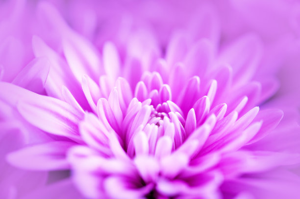 macro