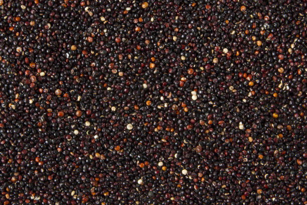 quinoa
