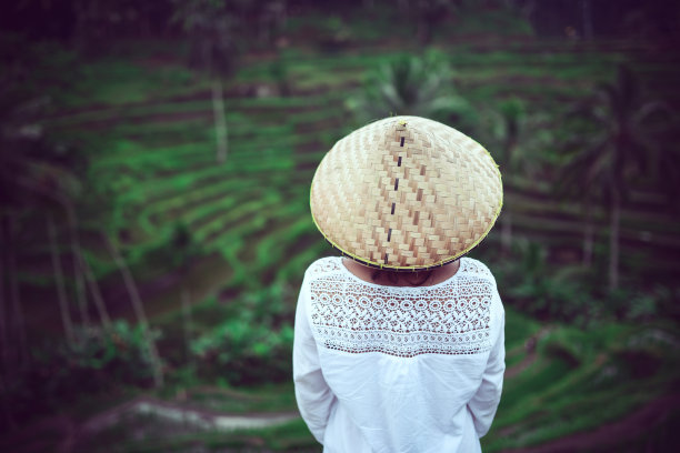 印度尼西亚的水稻梯田