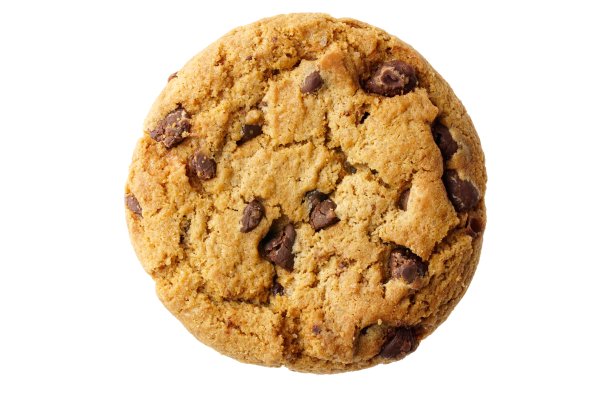 biscuit