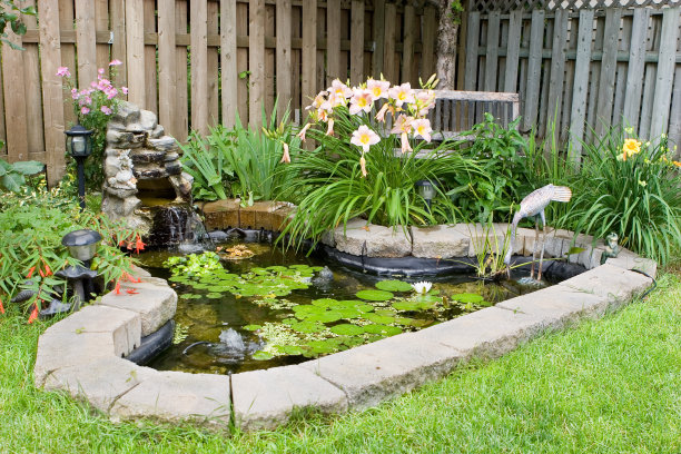 ponds
