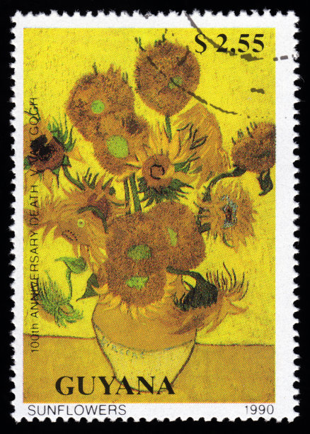 vincent