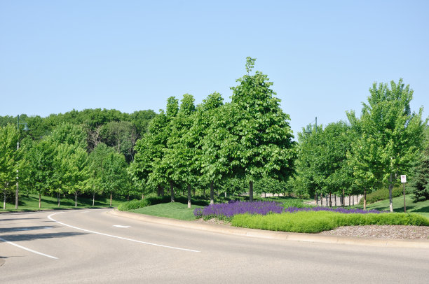 landscaping