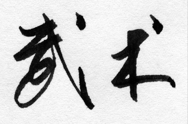 kungfu