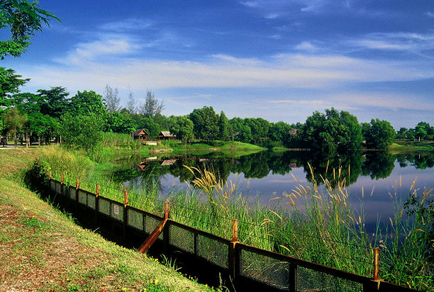 wetland