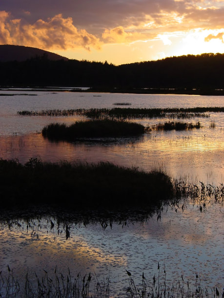 adirondack