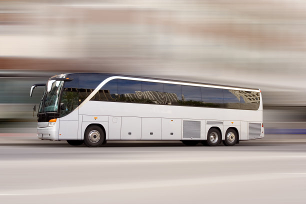 bus