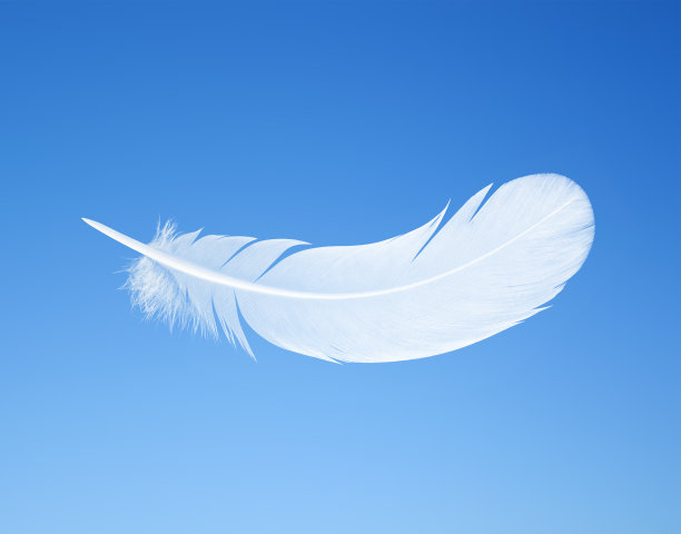 feather