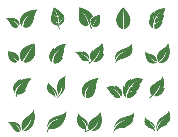 foliage