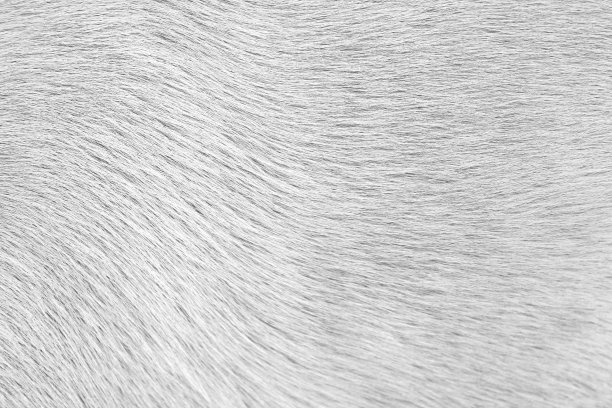 hairs