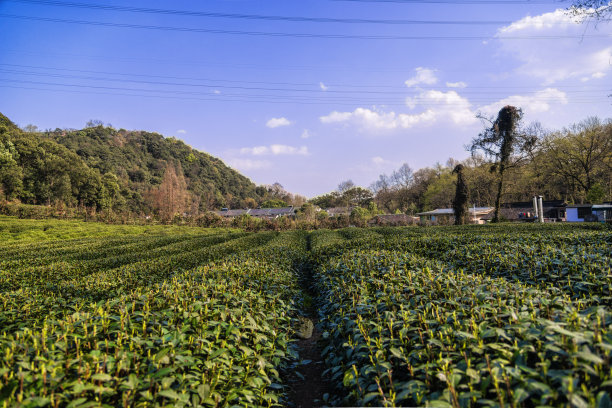 田园风光,地形,户外