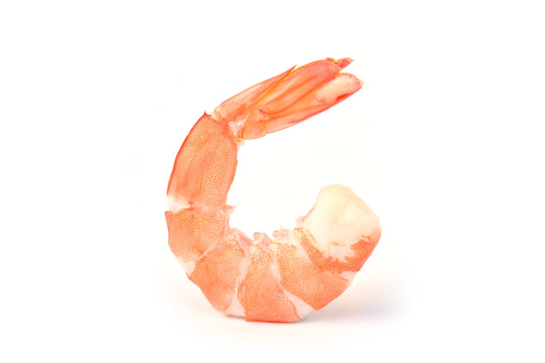 shrimp