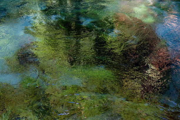monet