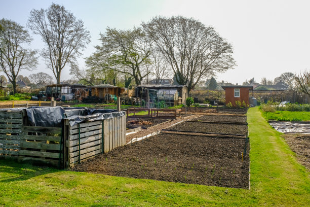 garden