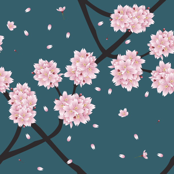 粉红菊花