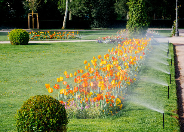 irrigation