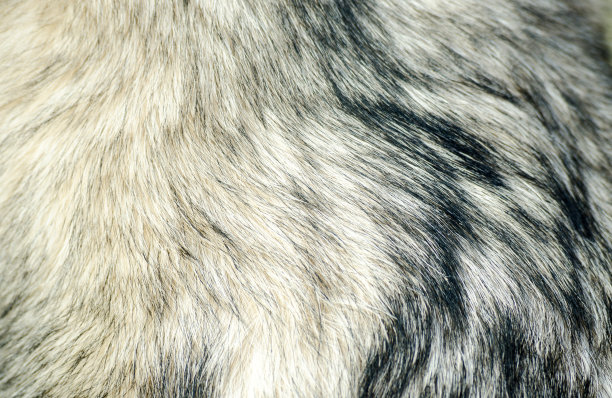 hairs