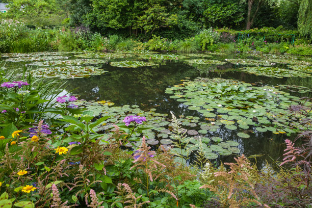monet