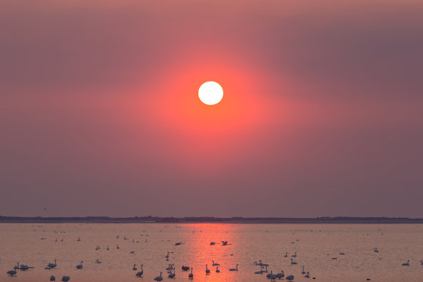 天鹅湖日落
