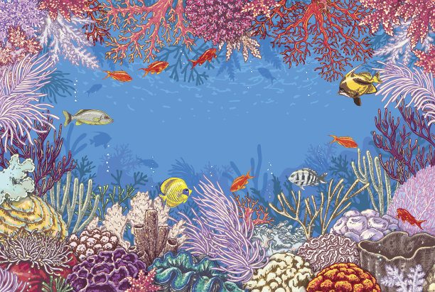 礁石海藻