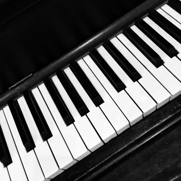 乐器黑白钢琴键