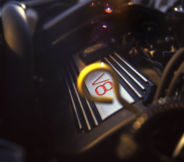 v8