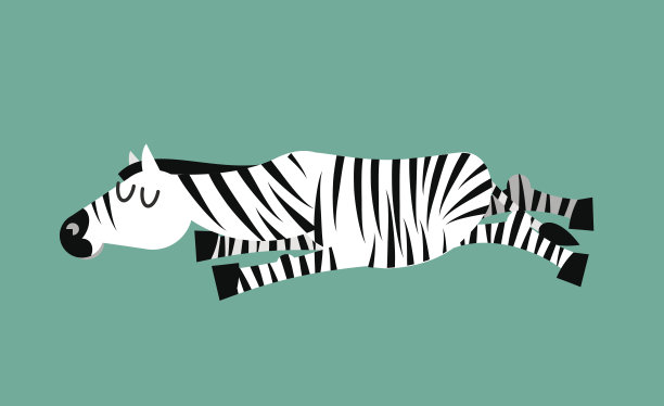 zebra