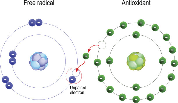 antioxidant