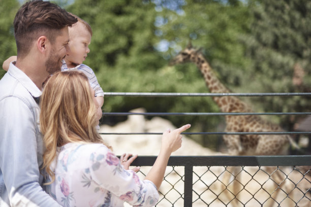 zoo