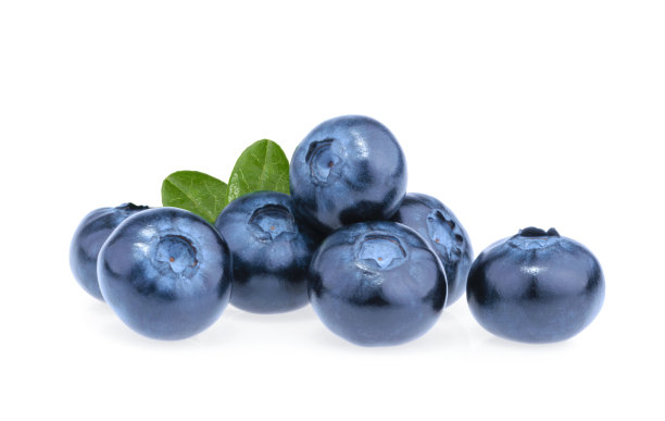 ericaceae