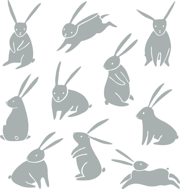 bunny