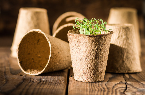 biodegradable
