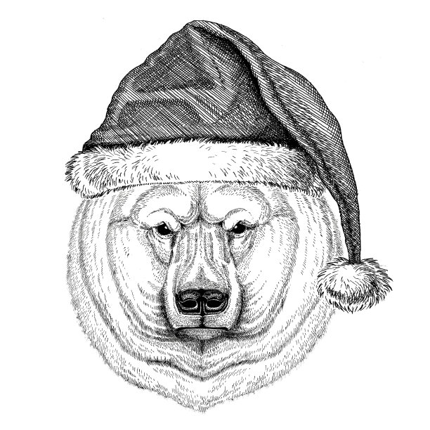 圣诞节北极熊