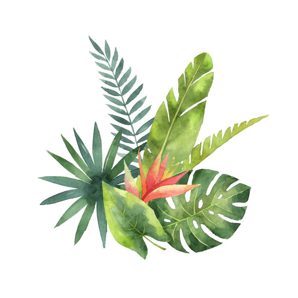 水彩抽象花卉背景图案