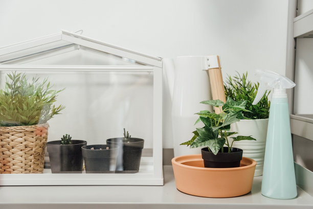 greenhouse
