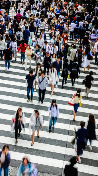 日本大阪交通