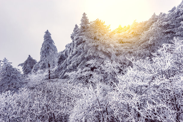 黄山雪景