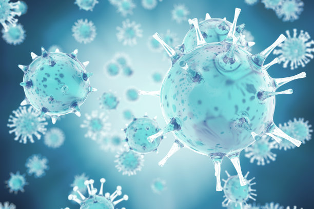 bacteria