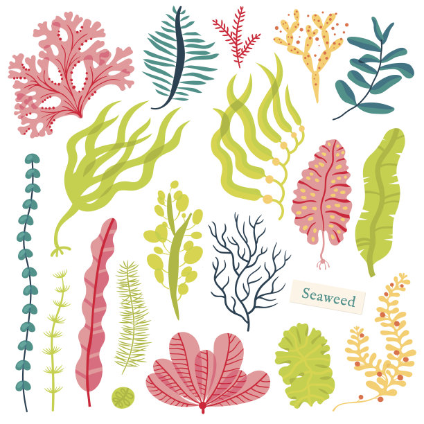 corals