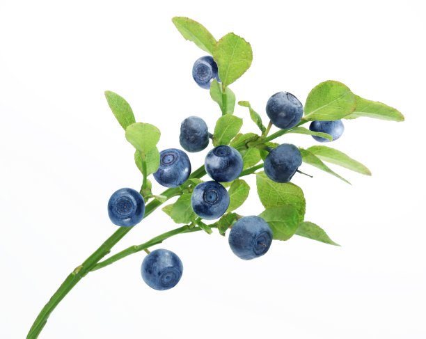 blueberries