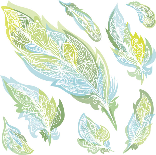 羽毛花纹图案