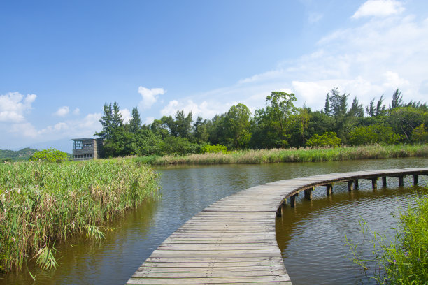 wetland
