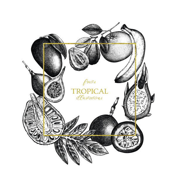 黄金百香果插画