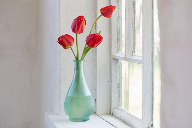 窗台的花瓶