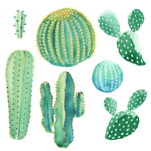 opuntia